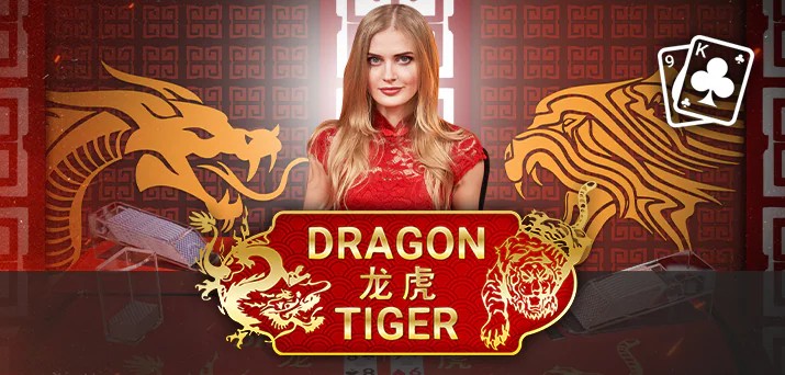 Dragon Tiger game interface at Playamo
